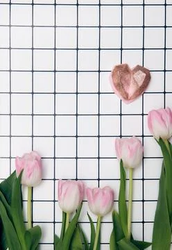 Spring floral background with copy space. Flat-lay frame made of tulips bloss Foto stock