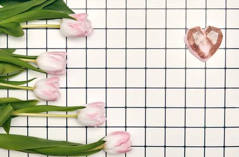 Spring floral background with copy space. Flat-lay frame made of tulips bloss Stock Photos