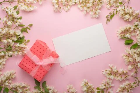 Spring floral background with gift, texture and wallpaper. Flat white flower  Stock Photos