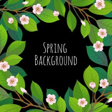 Spring floral background. Stock Illustration