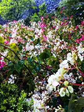 Spring Floral Background Stock Photos