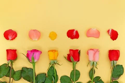 Spring floral background Stock Photos