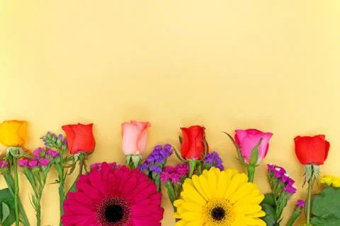 Spring floral background Stock Photos