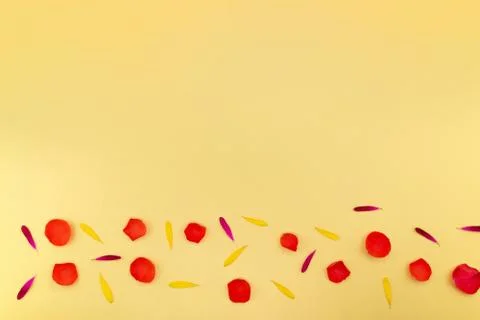 Spring floral background Stock Photos