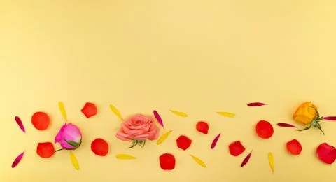 Spring floral background Stock Photos