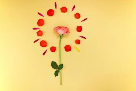 Spring floral background Stock Photos