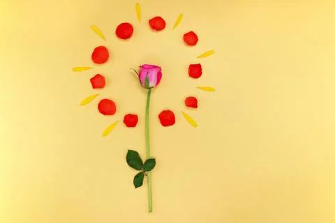 Spring floral background Stock Photos