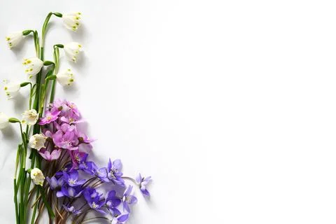 Spring floral background Stock Photos