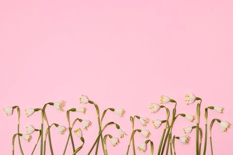 Spring floral background Stock Photos