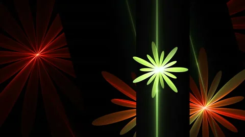 Spring, Floral Background, Red, Orange and Green Flowers Stock Footage 49564712