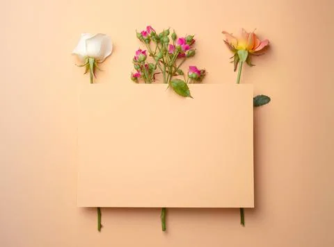 Spring floral background template Stock Photos