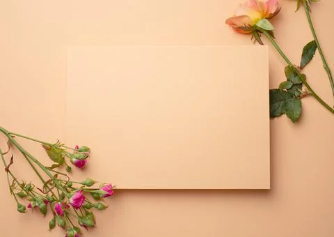 Spring floral background template Stock Photos