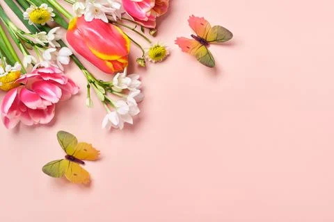 Spring floral composition. Spring flowers and butterflies on pink background Stock Photos