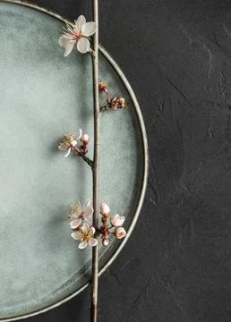 Spring floral concept with blooming cherry tree branches and serving with rustic Stock Photos