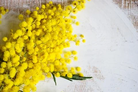 Spring floral concept Stock Photos