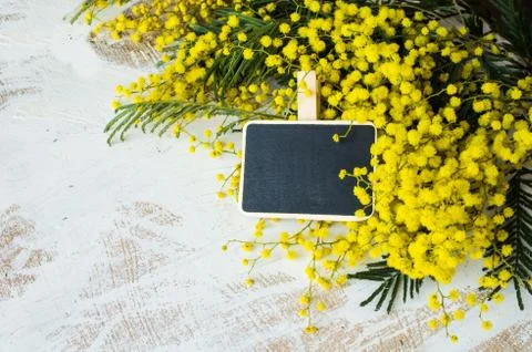 Spring floral concept 스톡 사진