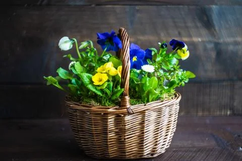 Spring floral concept Stock Photos