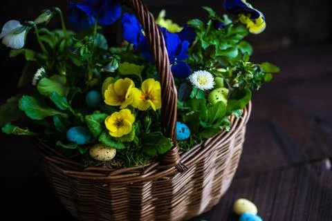 Spring floral concept Stock-Fotos