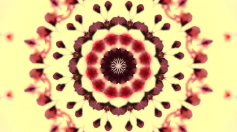 Spring floral kaleidoscopic pattern with cherry flowers and leaves Stock Footage 61347437