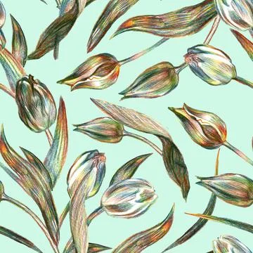 Spring floral seamless pattern with tulips drawn by pencil on light green. Stock Illustration