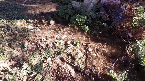 Spring, the flow of water. Stream. Nature. Water pollution Stock Footage 125511605