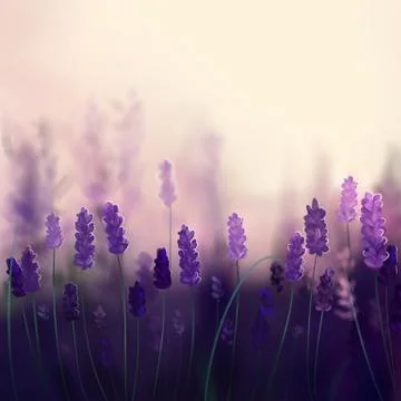 Spring Flower Abstract Background Stock Illustration