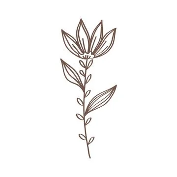 Spring flower and leafs hand drawn icon イラスト素材