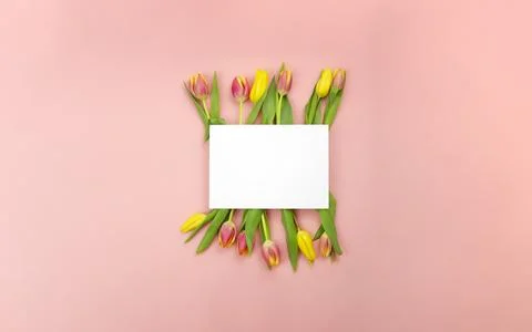Spring flower arrangement on a colored background. Copy space. Stock Photos