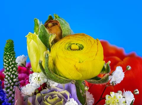 Spring flower arrangement Stock Photos