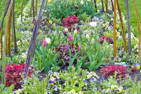Spring flower bed Stock Photos