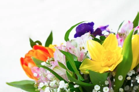 Spring flower bouquet isolated Stock Photos