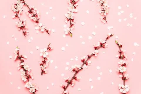 Spring flower branches pattern pastel pink background. Flat lay Foto stock