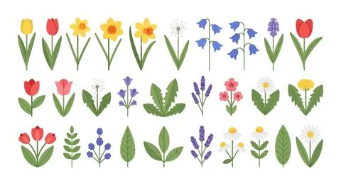 Spring Flower Collection: Tulips, Daffodils, Bluebells, Daisies, Lavender, .. Illustrazione stock