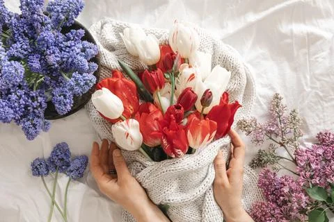 Spring flower composition on a white background, top view. Stock Photos