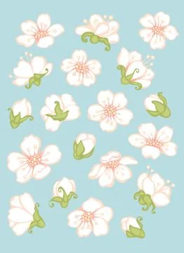 Spring flower elements. Stock Illustration