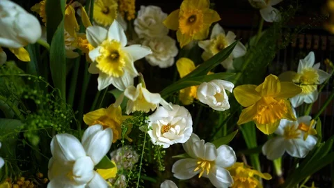 Spring flower Stock Footage 87923460