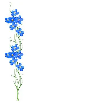 Spring flower forget-me-not Stock Photos