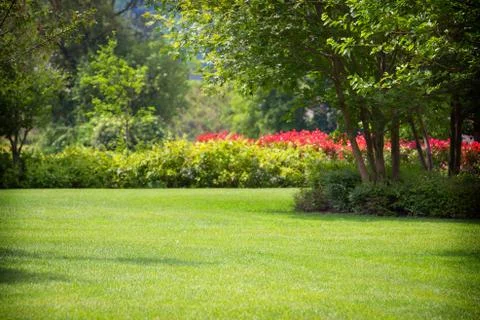 Spring flower garden Stock Photos