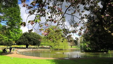 Spring flower gardens in Jephson Gardens, Leamington Spa Stock Footage 273983526