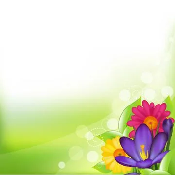 Spring flower Stock Illustration