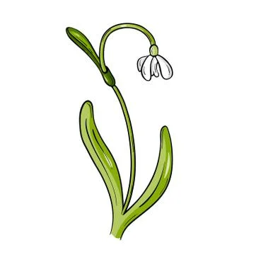 Spring flower Stock Illustration