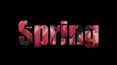 Spring Flower Letters Zoom In Video stock 234726013
