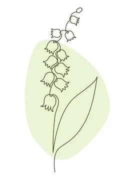 Spring Flower Lily of the Valley in One Continuous Line Drawing. Simple Min.. 스톡 일러스트