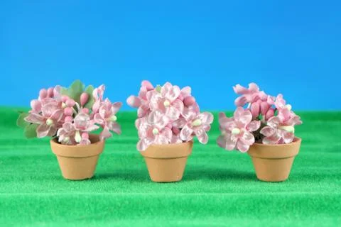 Spring flower miniatures Stock Photos