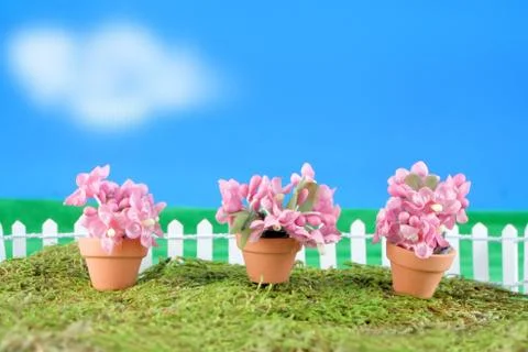 Spring flower miniatures Stock Photos