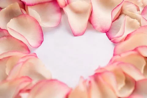 Spring Flower Petals Background Stock Photos