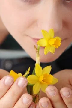 Spring flower Stock Photos