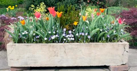 Spring flower planter Foto stock