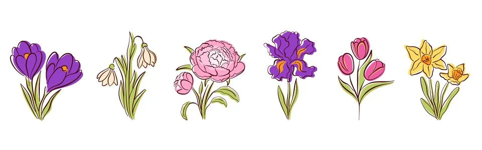 Spring flower set with crocus, snowdrop, peony, iris, tulip and daffodil in line Stock Illustration