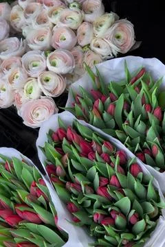 Spring in the flower shop Stock Photos